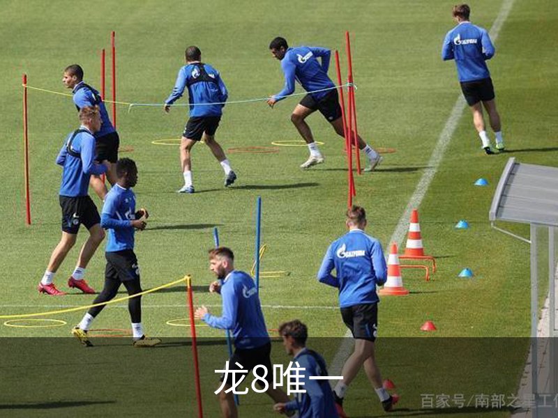 龙8唯一概况
